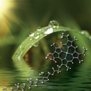 Chemistry The Central Science 15th Edition