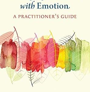 Changing Emotion With Emotion 1st Edition