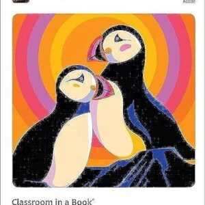 Adobe Illustrator CC Classroom in a book 2022 release