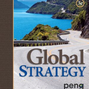 Global Strategy 3rd edition By Mike W. Peng